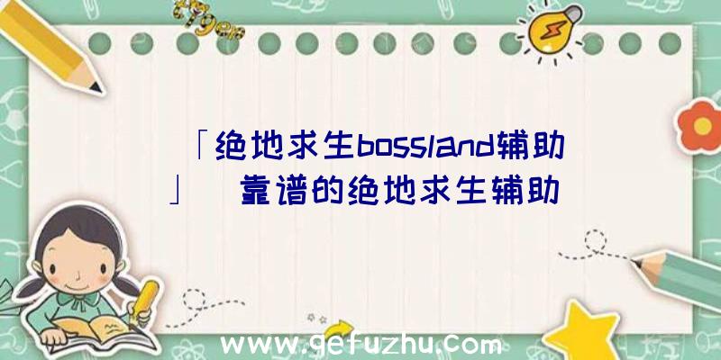 「绝地求生bossland辅助」|靠谱的绝地求生辅助